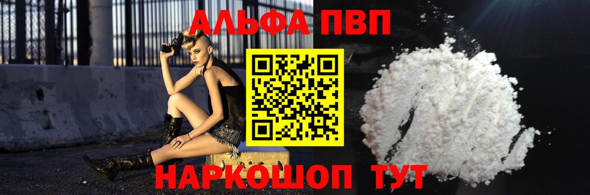 Alfa_PVP СК Гудермес