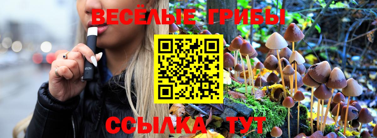 Галлюциногенные грибы Psilocybe  Галлюциногенные грибы Psilocybe  Гудермес  Вход с VPN 