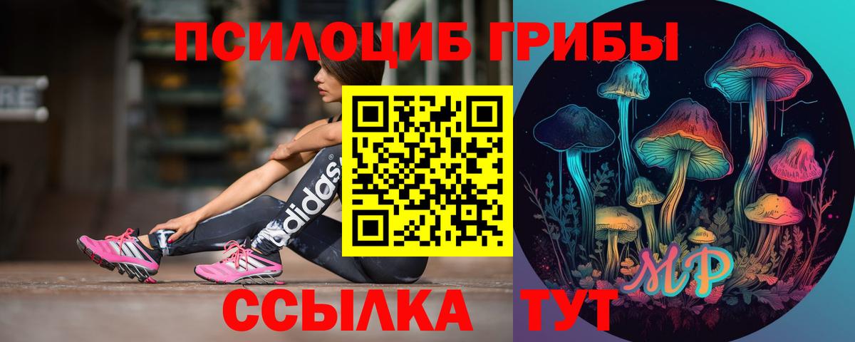 Галлюциногенные грибы Psilocybe Гудермес